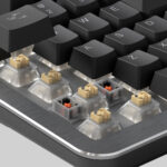 Membrane vs. Mechanical Keyboards