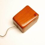 The Evolution of the Computer Mouse